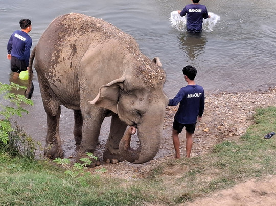 Somboon Legacy Foundation-Klon Do必去景点