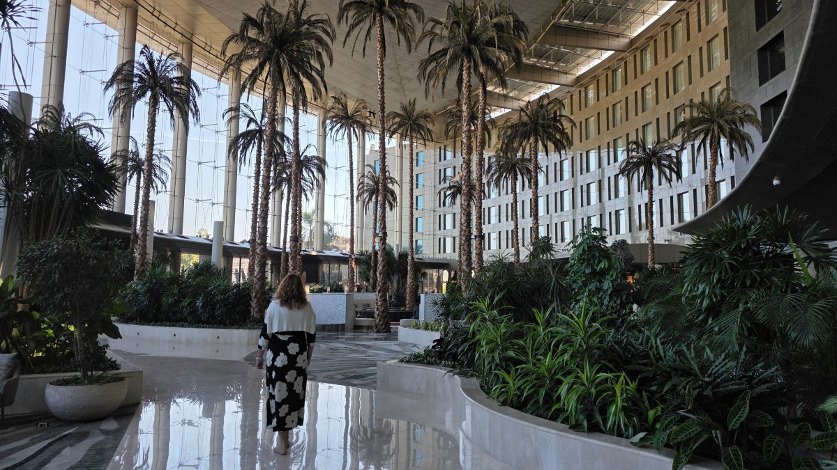 开罗赫利奥波利斯华尔道夫酒店-浴室