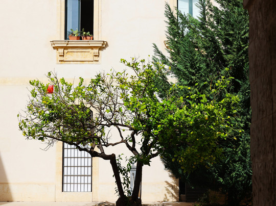 Via Cavour-诺托必去景点