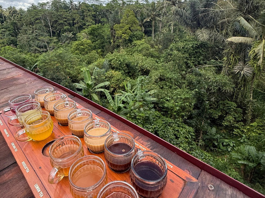 Pemulan Bali Coffee Plantation-Manukaya必去景点