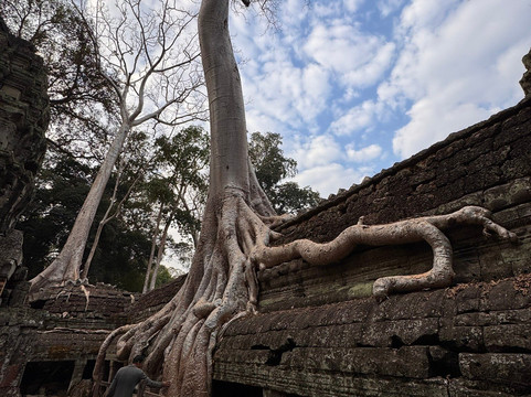 Best Siem Reap Tuk Tuk-暹粒必去景点