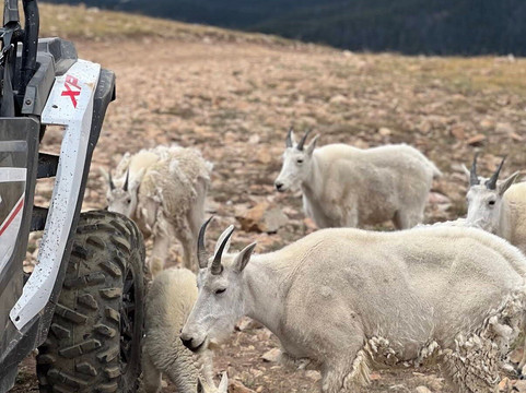 Rocky Mountain Outdoor Rentals-Bailey必去景点