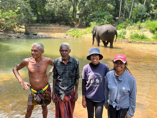 Elephant Freedom Project-凯格勒 必去景点