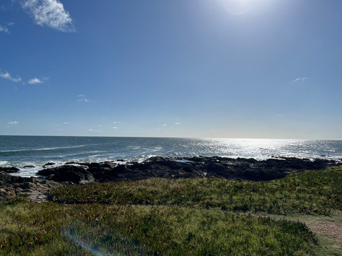 Rambla General Jose Artigas-埃斯特角城必去景点