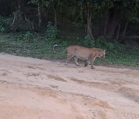 Roshan Lanka Tours-科伦坡必去景点