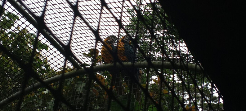 BioParque Yanacocha-Puyo必去景点