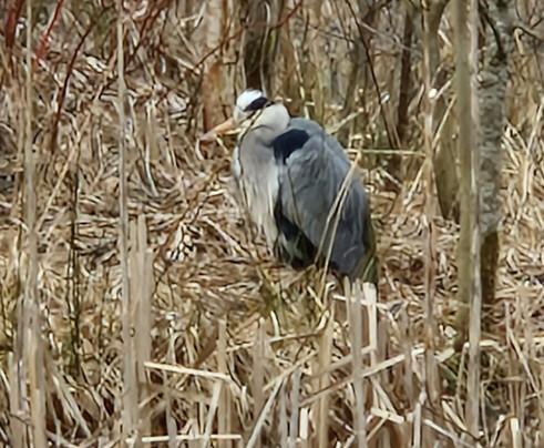 Dumfries House-Cumnock必去景点
