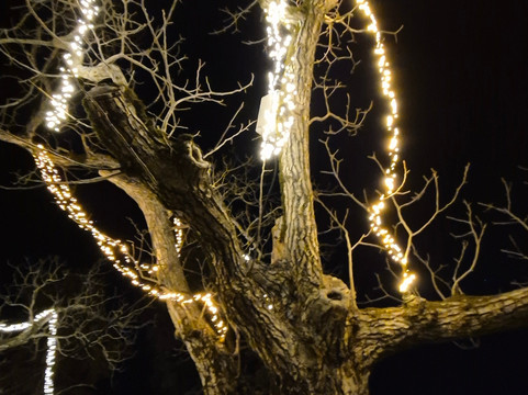 Kiketi Farm Wine-第比利斯必去景点