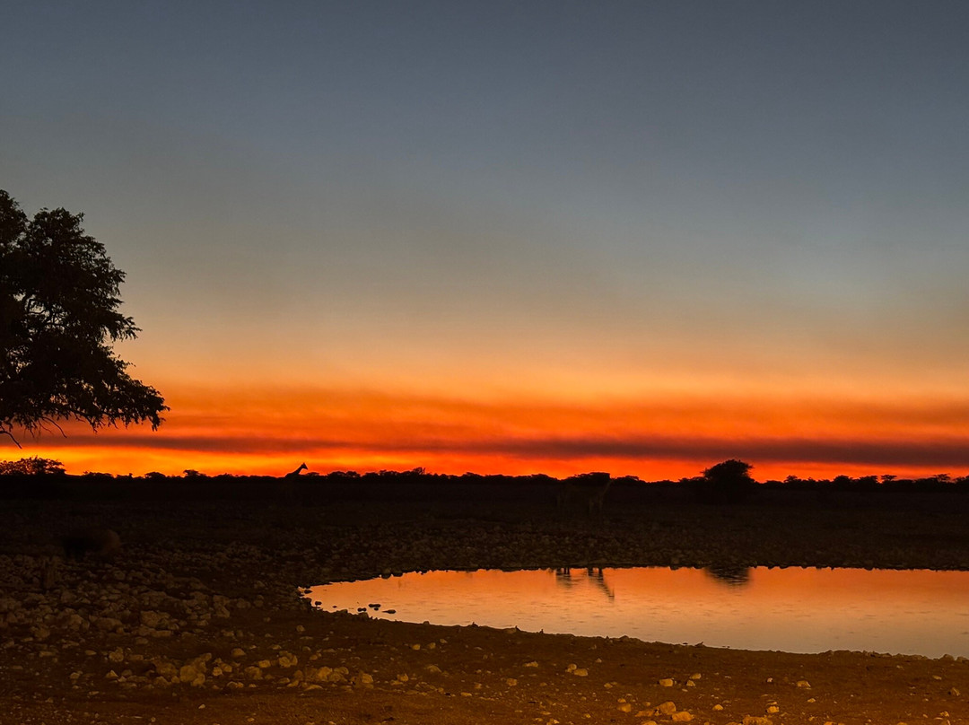 Okaukuejo waterhole-纳米比亚埃托沙国家公园必去景点