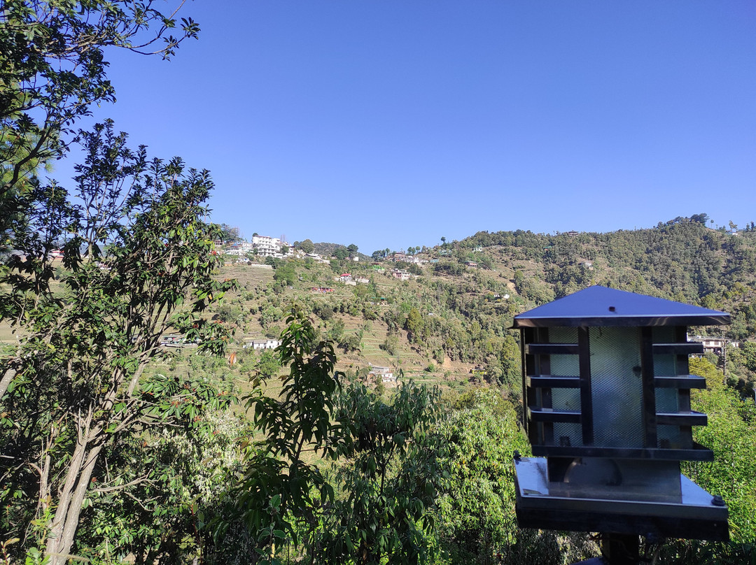 Orchard Hill Retreat主图