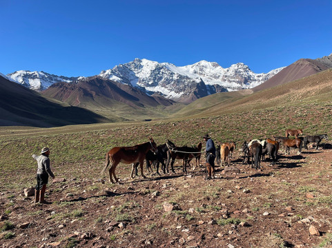 Trekking Travel Expediciones-门多萨必去景点
