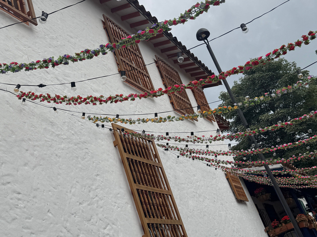 Feel Tourism Experiences-麦德林必去景点