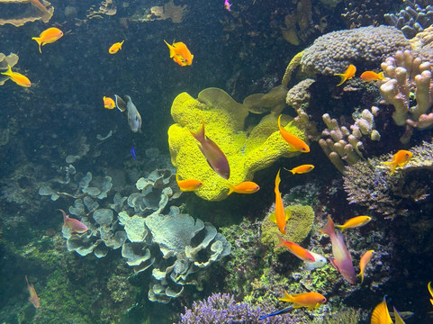 Aquarium La Rochelle-拉罗谢尔必去景点
