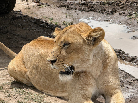 Zanleisuretours & Safaris-桑给巴尔市必去景点