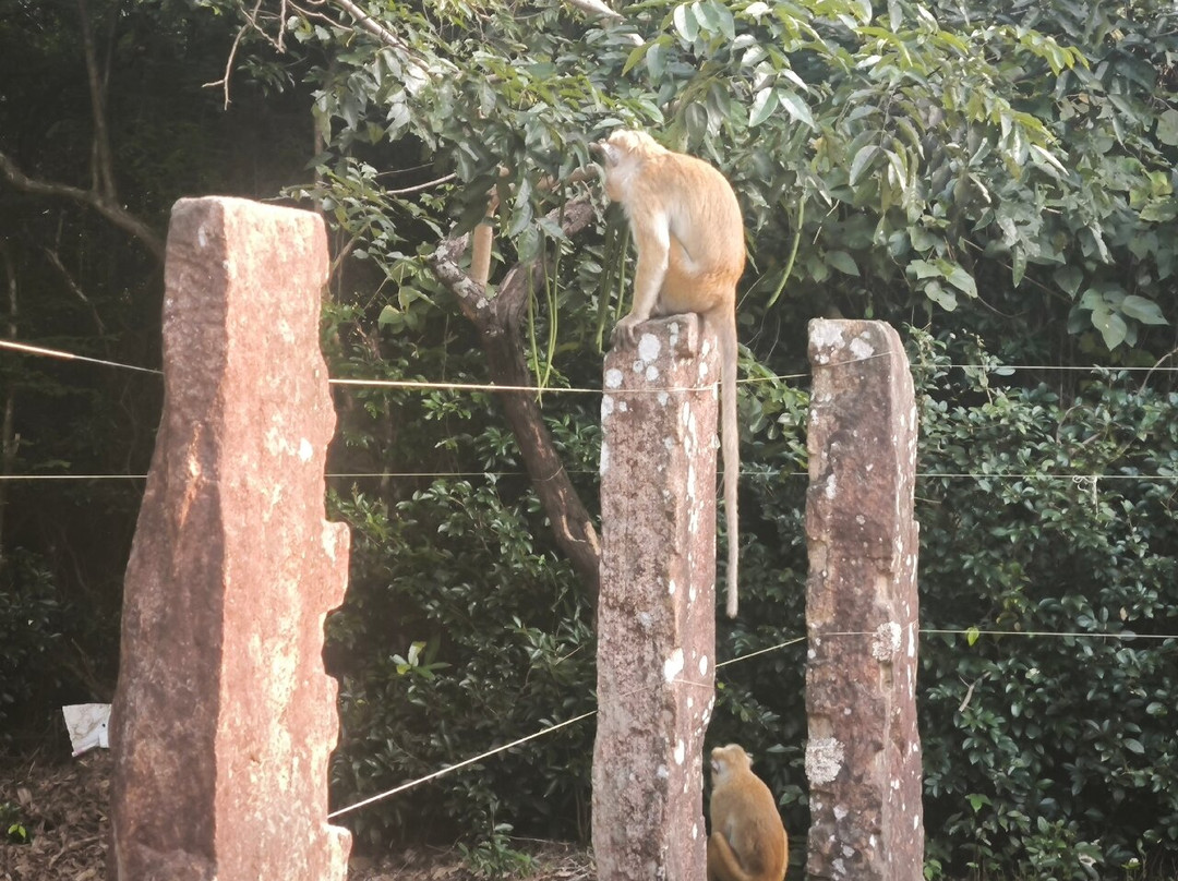 Medirigiriya Vatadage-波隆纳鲁瓦必去景点