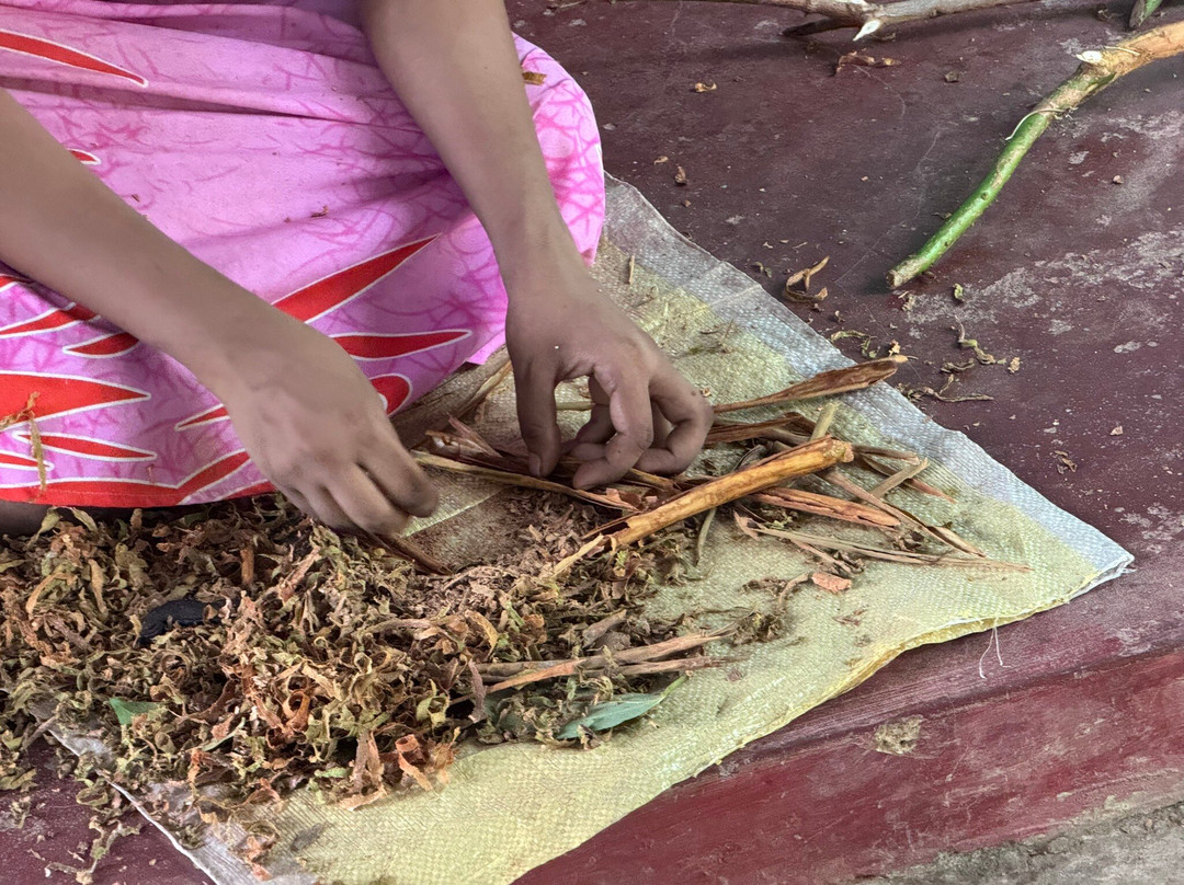 Siri Tours-Maha Induruwa必去景点