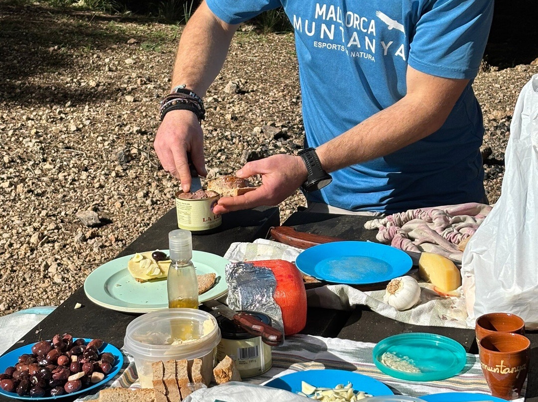 Mallorca Muntanya-索列尔港必去景点