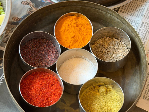 The Padmini Haveli主图