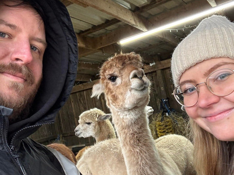 Larch Green Alpacas-格拉斯哥必去景点