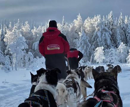 Era-Susi Huskies - Day Tours-Rukatunturi必去景点