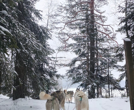 Arctic Expedition-埃斯波必去景点