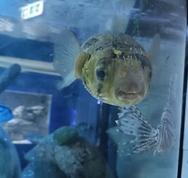 Lake District Coast Aquarium-Maryport必去景点