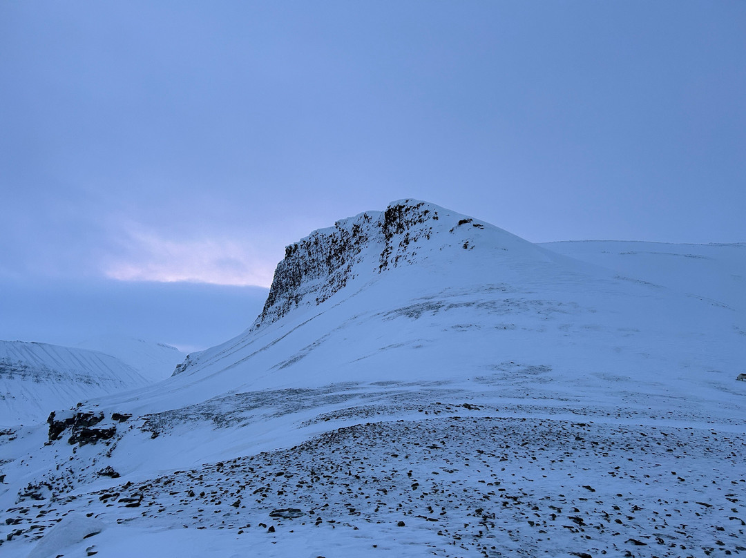 Svalbard Wildlife Expeditions-朗伊尔城必去景点