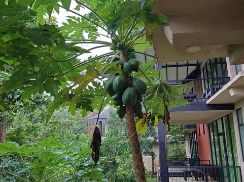 梦想女人海滩高尔夫水疗度假村-全包式主图