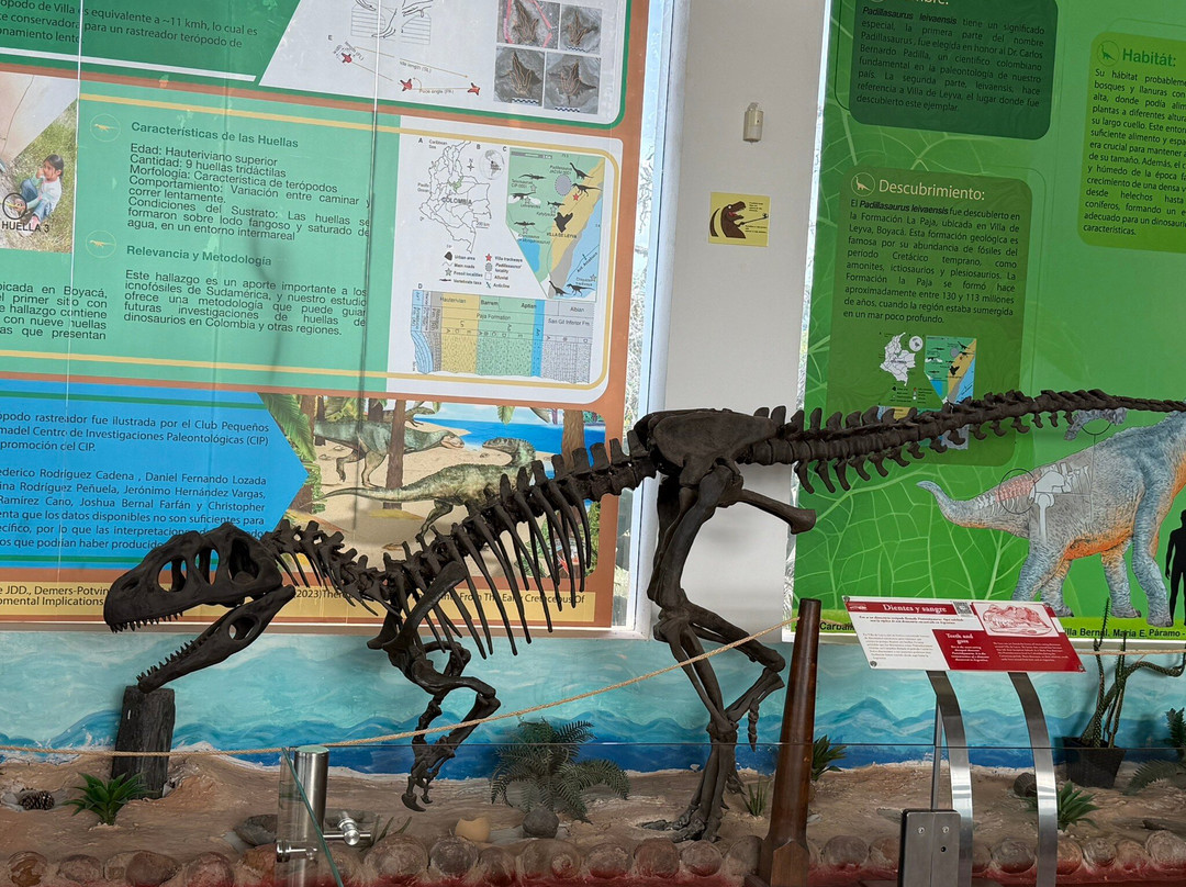 Centro de Investigaciones Paleontologicas - CIP-莱瓦镇必去景点