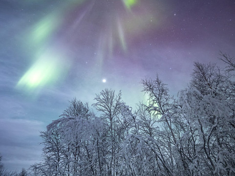 Arctic Photo Guide-特罗姆瑟必去景点