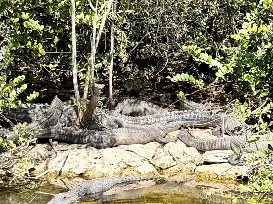 Loop Road-奥乔皮必去景点