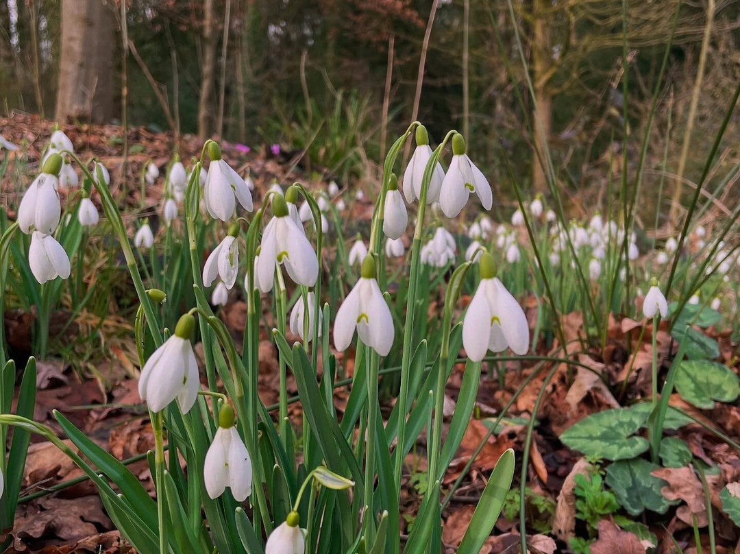 The Gardens at The Newt in Somerset-Shepton Montague必去景点