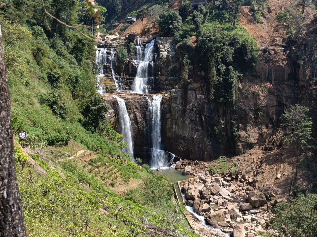 Luster Blue Tours-加勒必去景点
