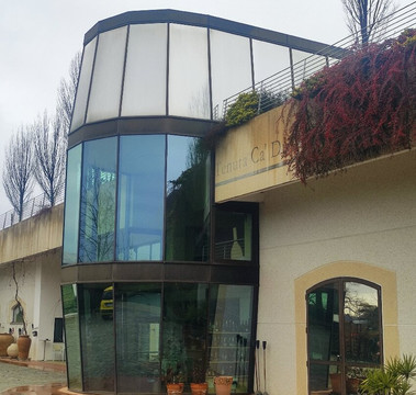 Marchisio Family Vini Piemontesi