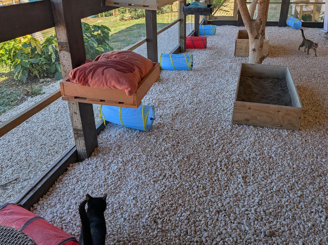 Iberostar Waves Rose Hall Beach主图