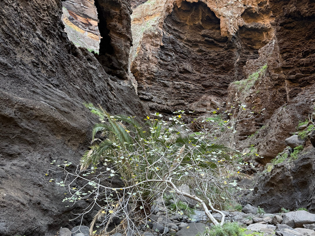 Aventura Wanderungen-特纳里夫必去景点