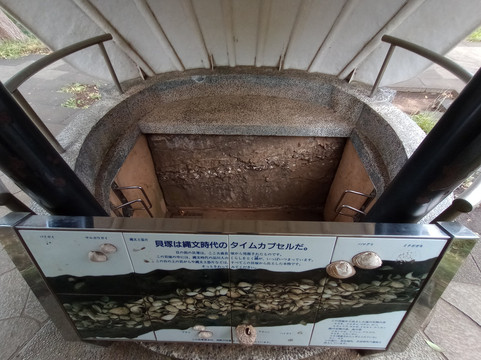 大森贝冢遗迹庭园-品川区必去景点