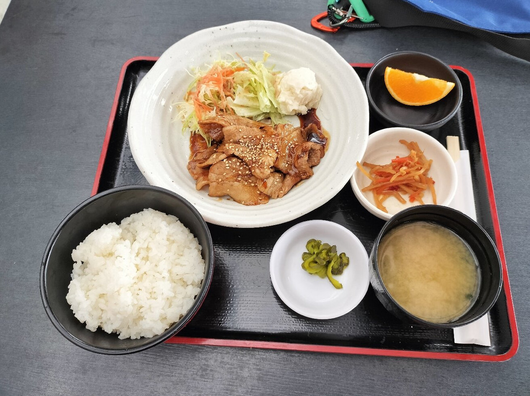 Ibaraki Flower Park-石冈市必去景点