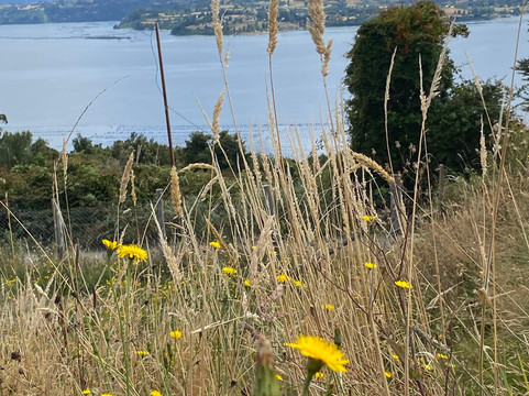 Lemuy Island-奇洛埃岛必去景点