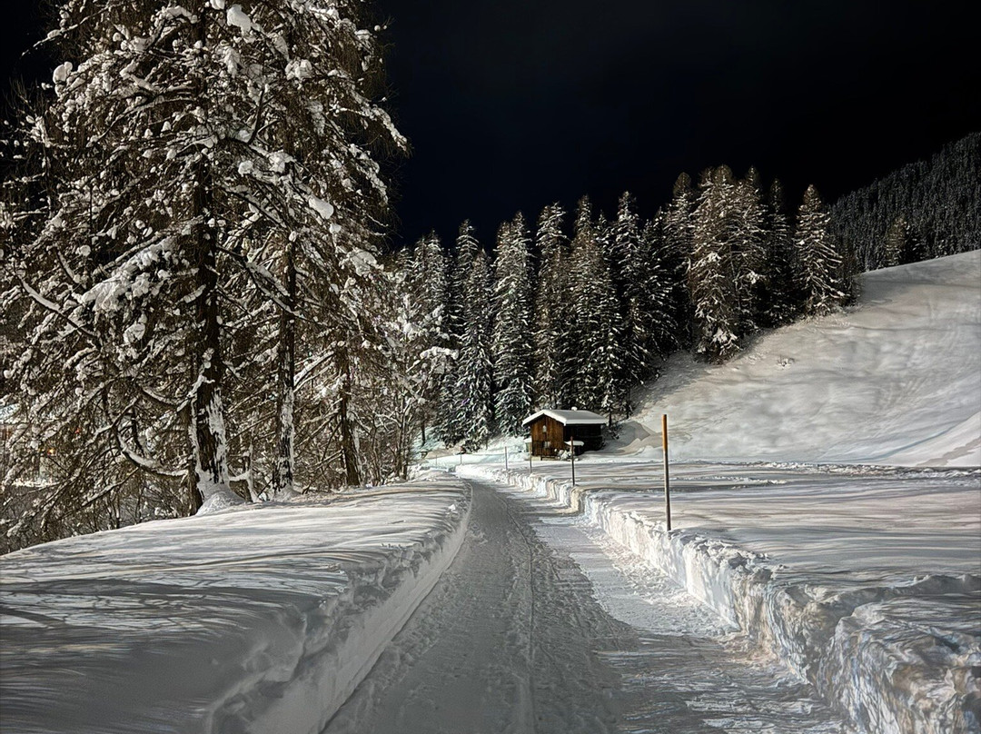RinerLodge by Mountain Hotels主图