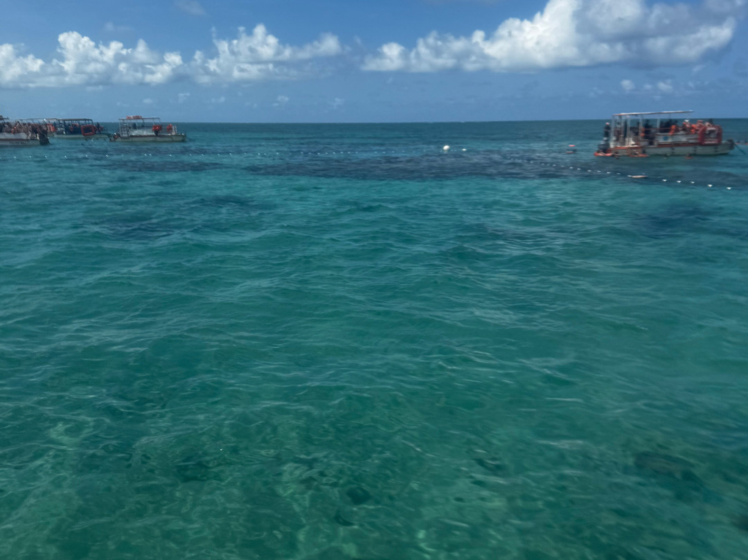 Marazul Receptivo-Natal必去景点