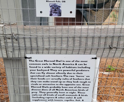 Badger Run Wildlife Rehab-克拉马斯福尔斯必去景点