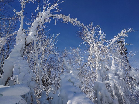 Skiliftkarussell Winterberg-Winterberg必去景点