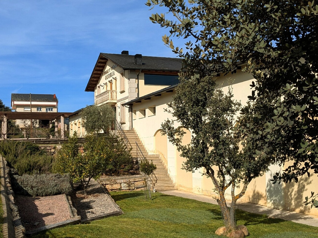 Bodegas Y Viñedos Godelia-Cacabelos必去景点