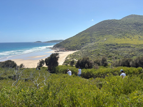 Whisky Beach-威尔逊岬国家公园必去景点