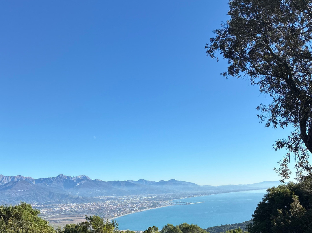 Orto botanico di Montemarcello-Montemarcello必去景点
