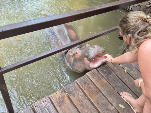 Hippo Jessica-霍德斯普鲁特必去景点