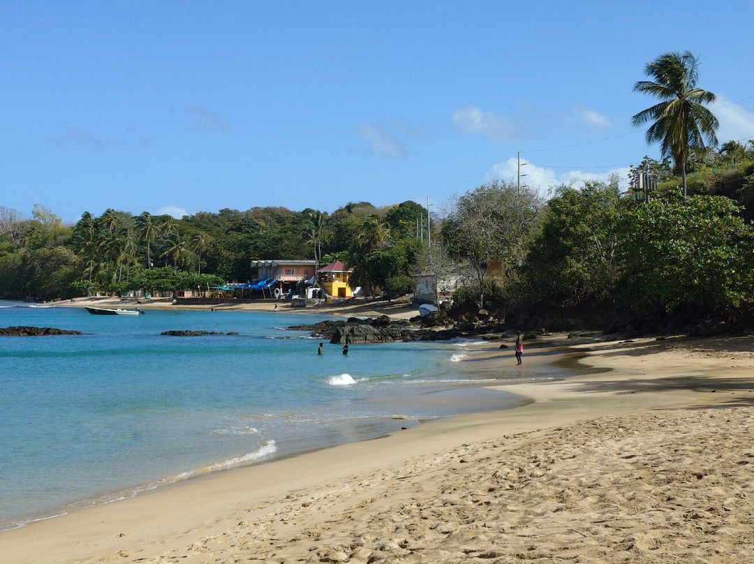 Snorkel Tobago-克朗波因特必去景点