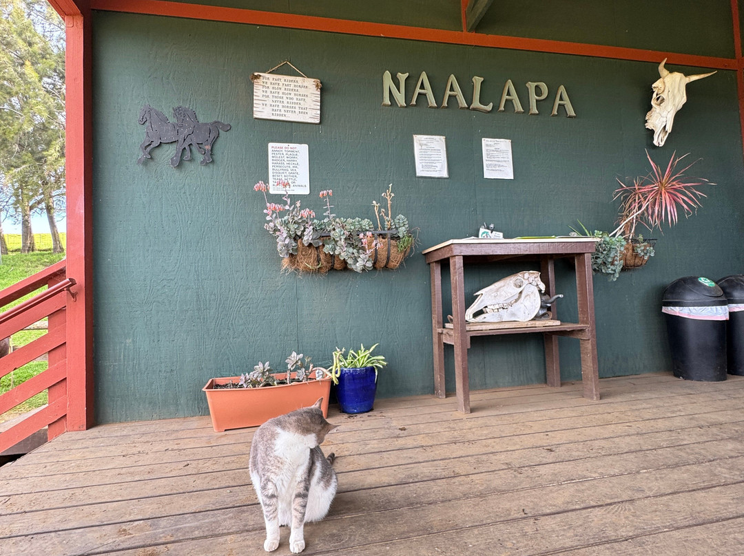 Na'alapa Stables - Kahua Ranch-卡慕也拉必去景点