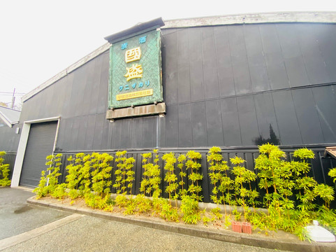 Museum of Sake Culture-半田市必去景点